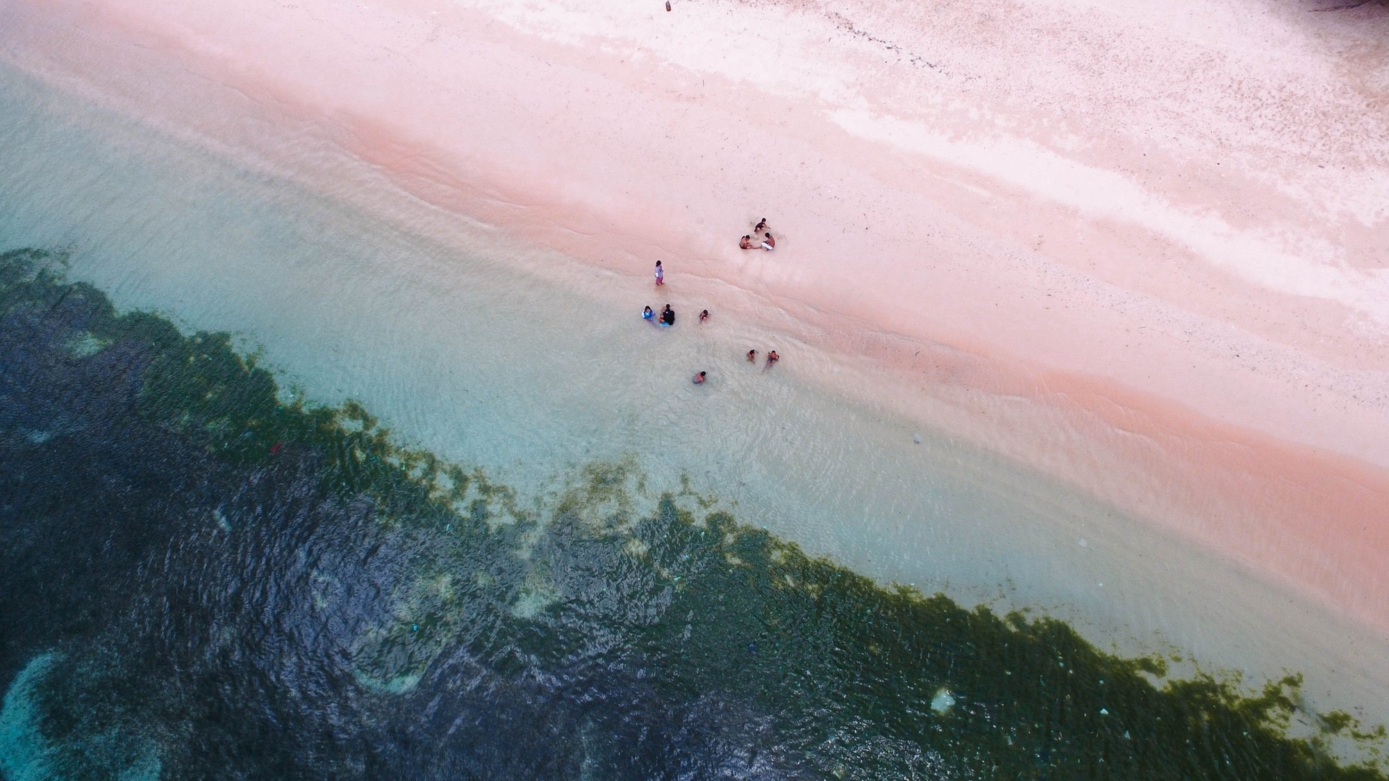 pink beach in lombok